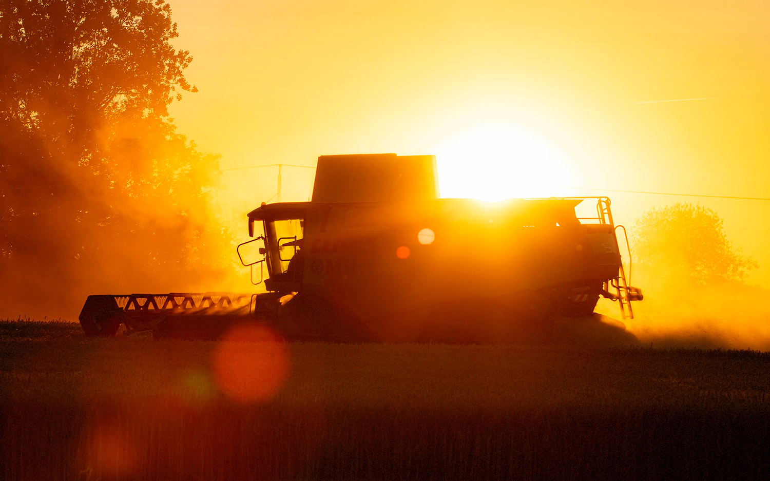 Зерноуборочный комбайн жнет пшеницу на закате. Фото pixabay.com