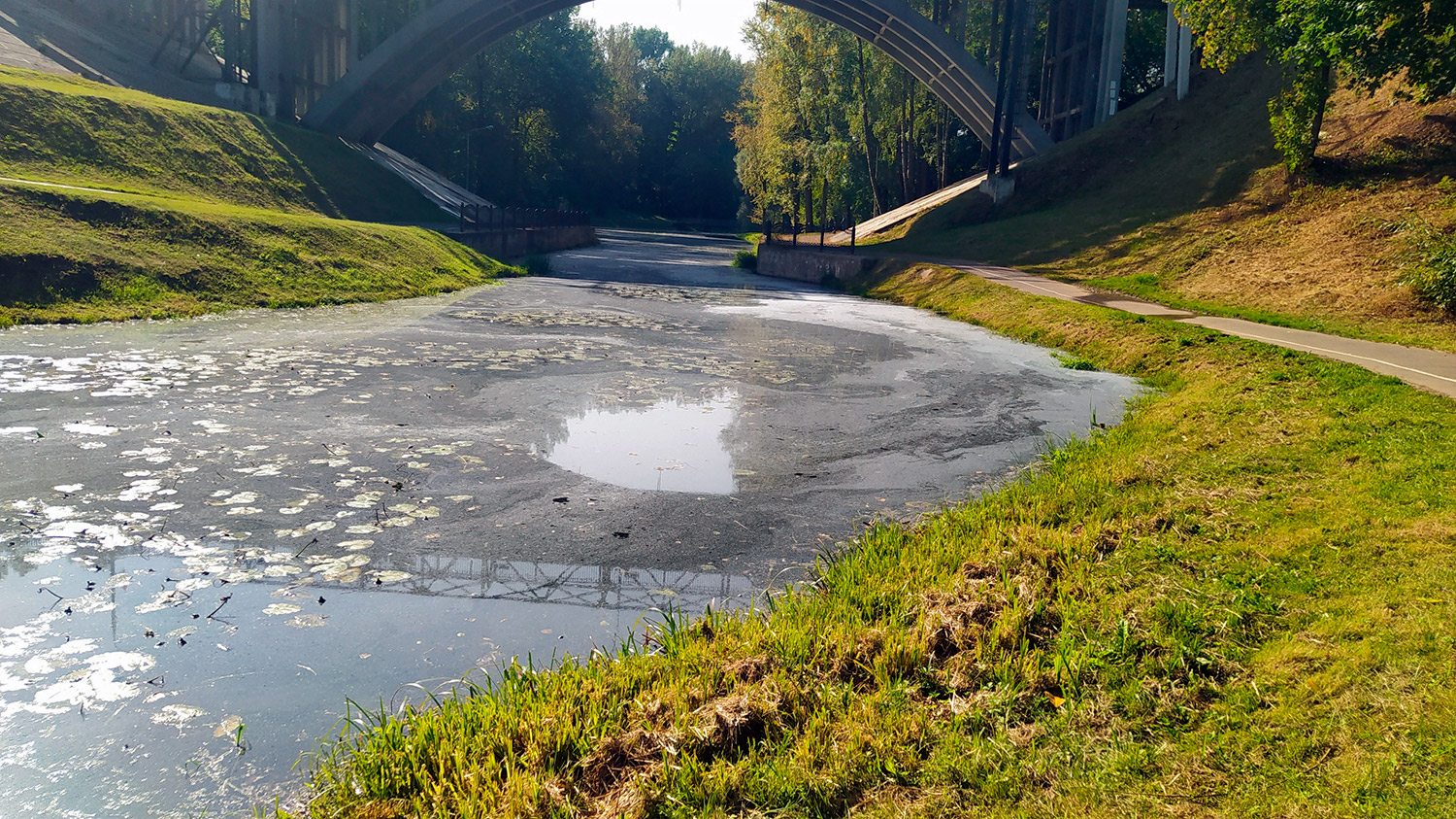 В Витебске обнаружили сброс загрязненной воды в Витьбу в центре города. Courtesy photo