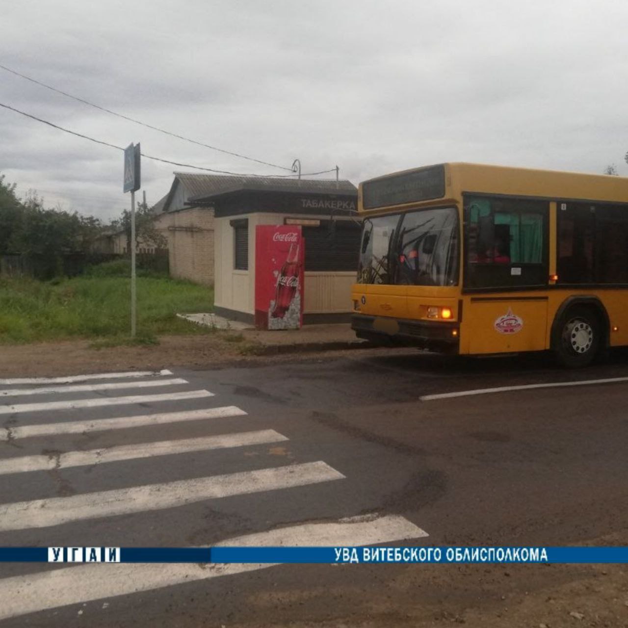 Мама с маленькой дочкой попали под авто на переходе в Витебске, они в больнице. Фото ГАИ