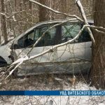 В Глубокском районе женщина на легковушке улетела в кювет