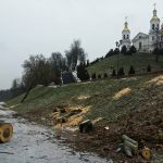 В Витебске вырубили деревья у подножия Успенской горы. Фотофакт