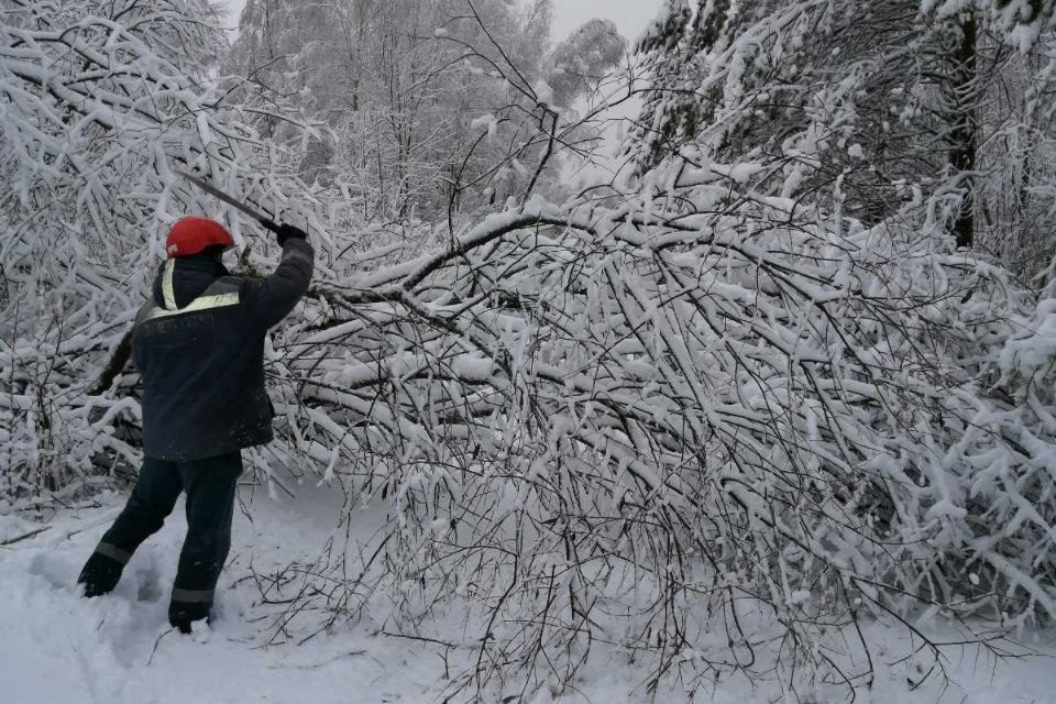 Из-за непогоды на Витебщине без света остались 113 населенных пунктов. Фото Витебскэнерго