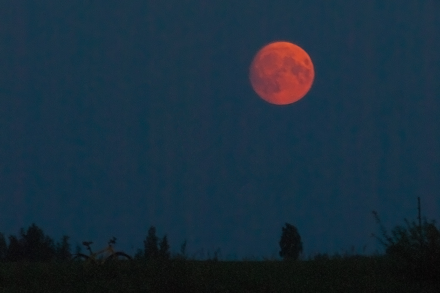 Почти полная луна над сельской дорогой. Фото Сергея Серебро