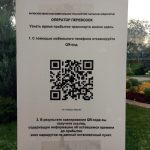 Расписание транспорта по QR-коду можно узнать в Витебске. Проверили, как это работает