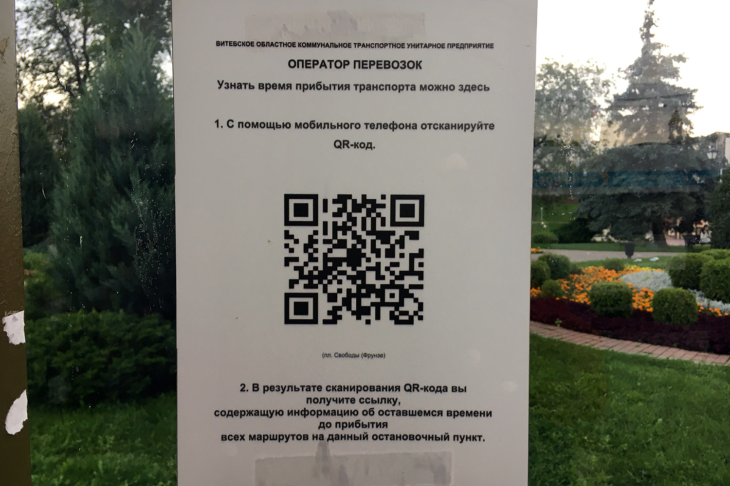 Расписание транспорта по QR-коду можно узнать в Витебске. Фото Сергея Серебро