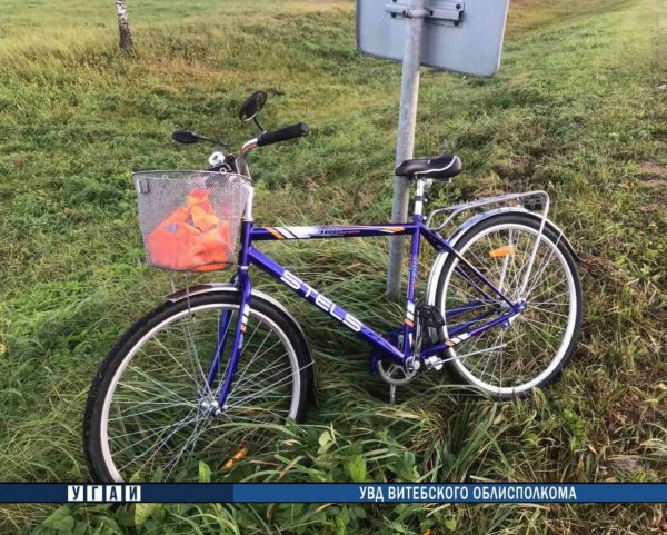 Легковушка при обгоне сбила велосипедиста в Оршанском районе