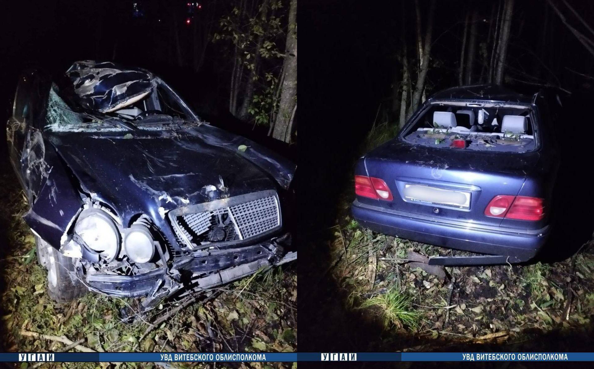 Под Витебском «Mercedes» столкнулся с диким животным, пострадали водитель и  трехлетний ребенок | Народные новости Витебска