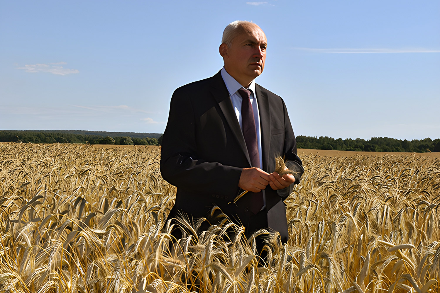 Геннадий Сабынич в поле с зерновыми. Фото газеты «Придвинье»