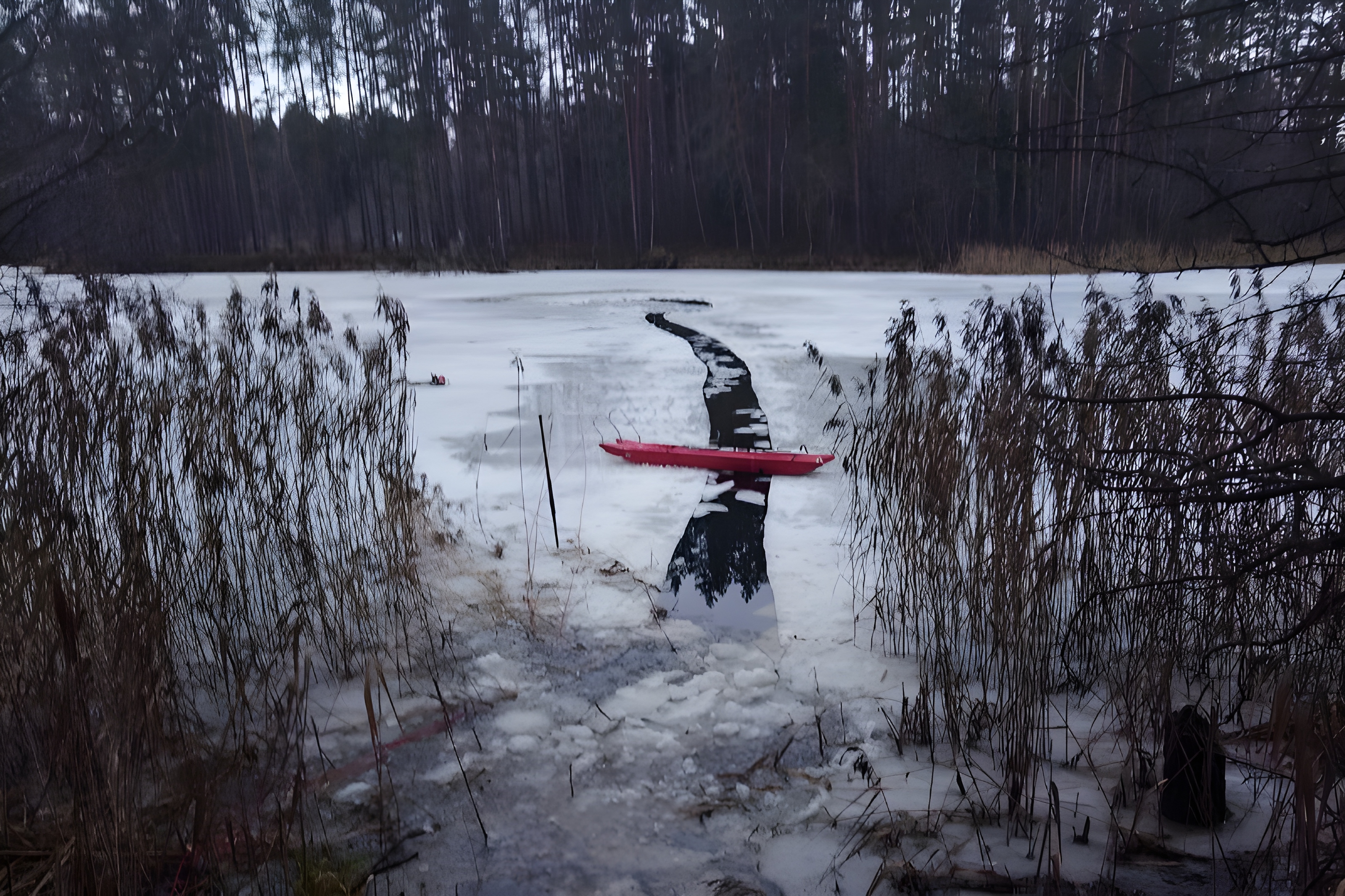 Еще два лося провалились под лед в Витебской области. Фото МЧС