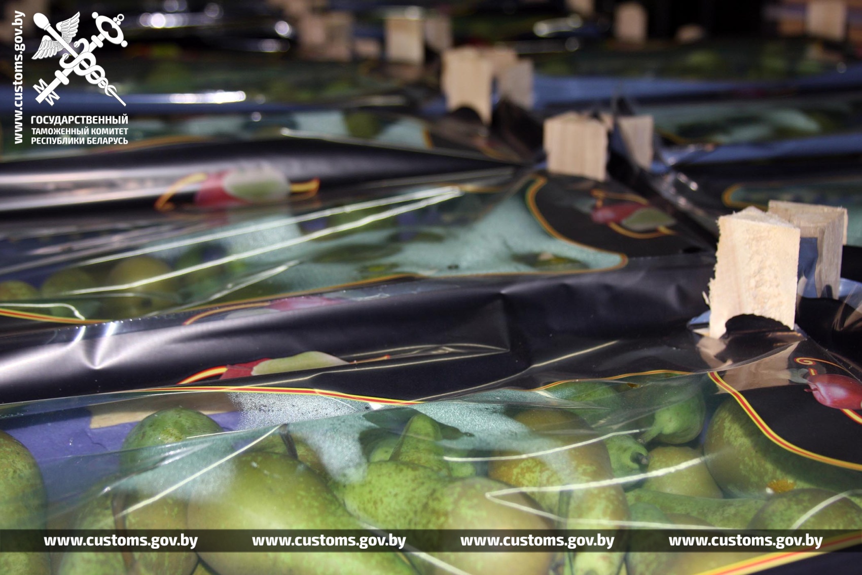 Витебская таможня помешала вывезти в Россию более 160 тонн контрабандных груш. Фото ГТК