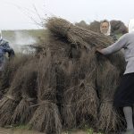 Плисский льнозавод продали за смешные деньги, он обанкротился почти десять лет назад