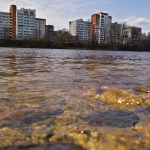 Уровень воды в Двине опустился в Витебске уже более чем на метр