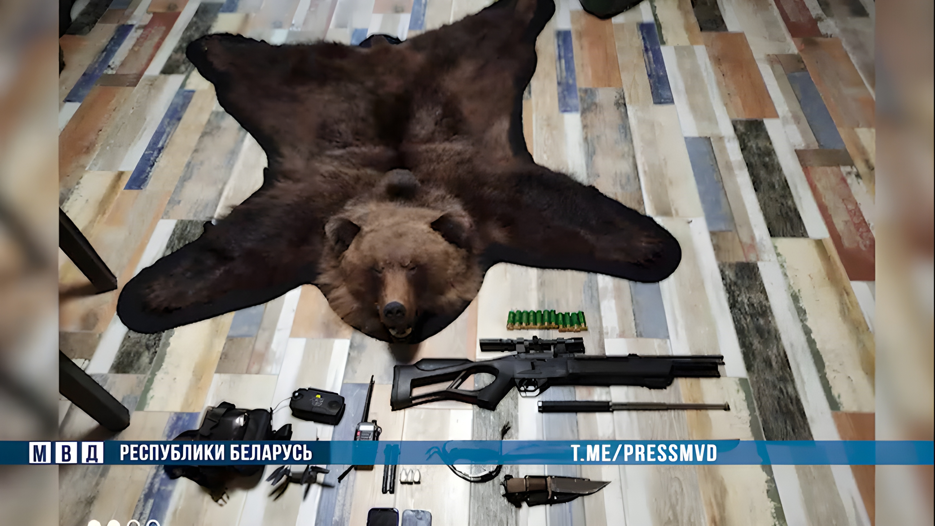 Шкура убитого браконьерами медведя. Кадр из оперативной съемки МВД