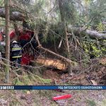 Самосвал разбился в Полоцком районе, водитель погиб