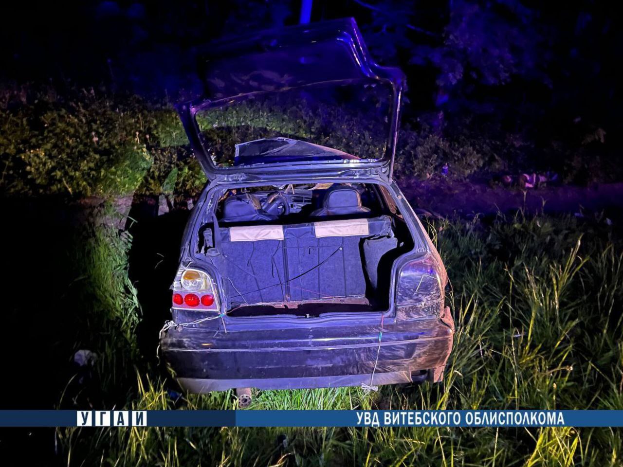 Под Витебском насмерть разбился 20-летний парень, его «Volkswagen» врезался в лося. Фото ГАИ