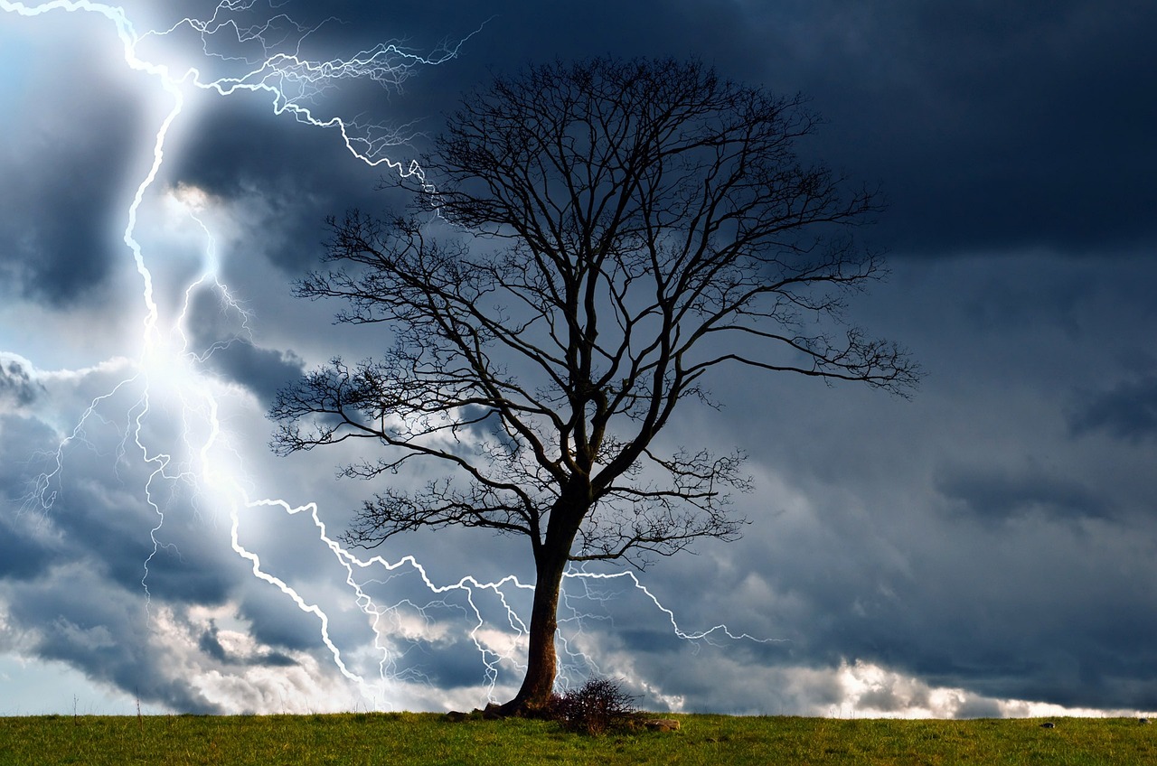 Сильный штормовой ветер с грозами ожидается в Витебске и области. Оранжевый уровень опасности